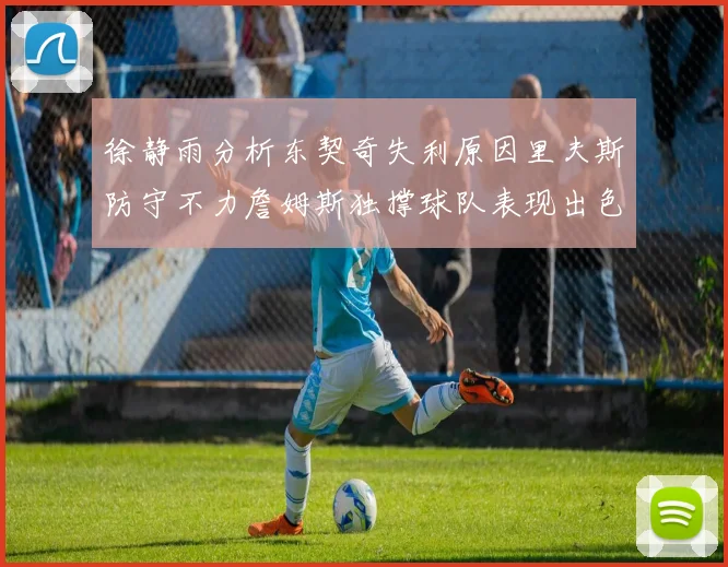 徐静雨分析东契奇失利原因里夫斯防守不力詹姆斯独撑球队表现出色